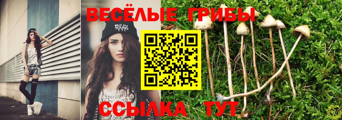 Галлюциногенные грибы Cubensis  Вход с VPN  Топки 